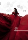 LADY IN RED thumbnail